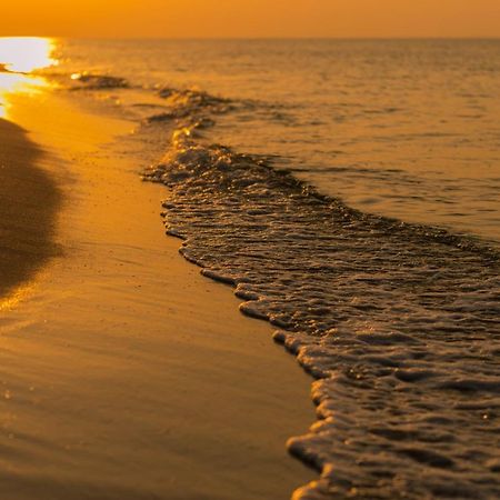Ferienhaus Abenteuer Egmond aan Zee Eksteriør billede